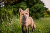 <a href='https://unsplash.com/@outsighted'>fot. Scott Walsh</a>